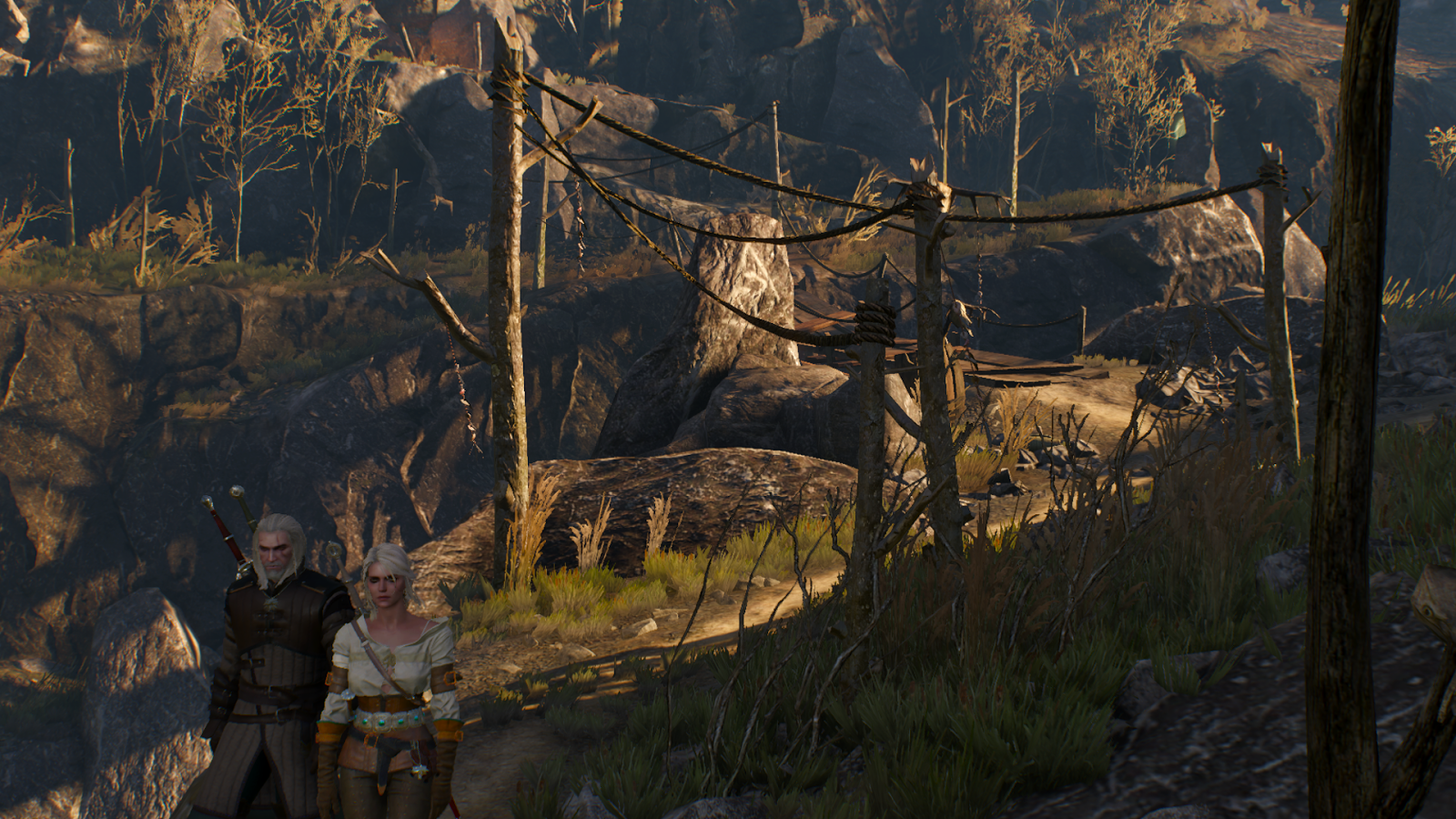 Detail Witcher 3 Magic Acorn Use Nomer 36