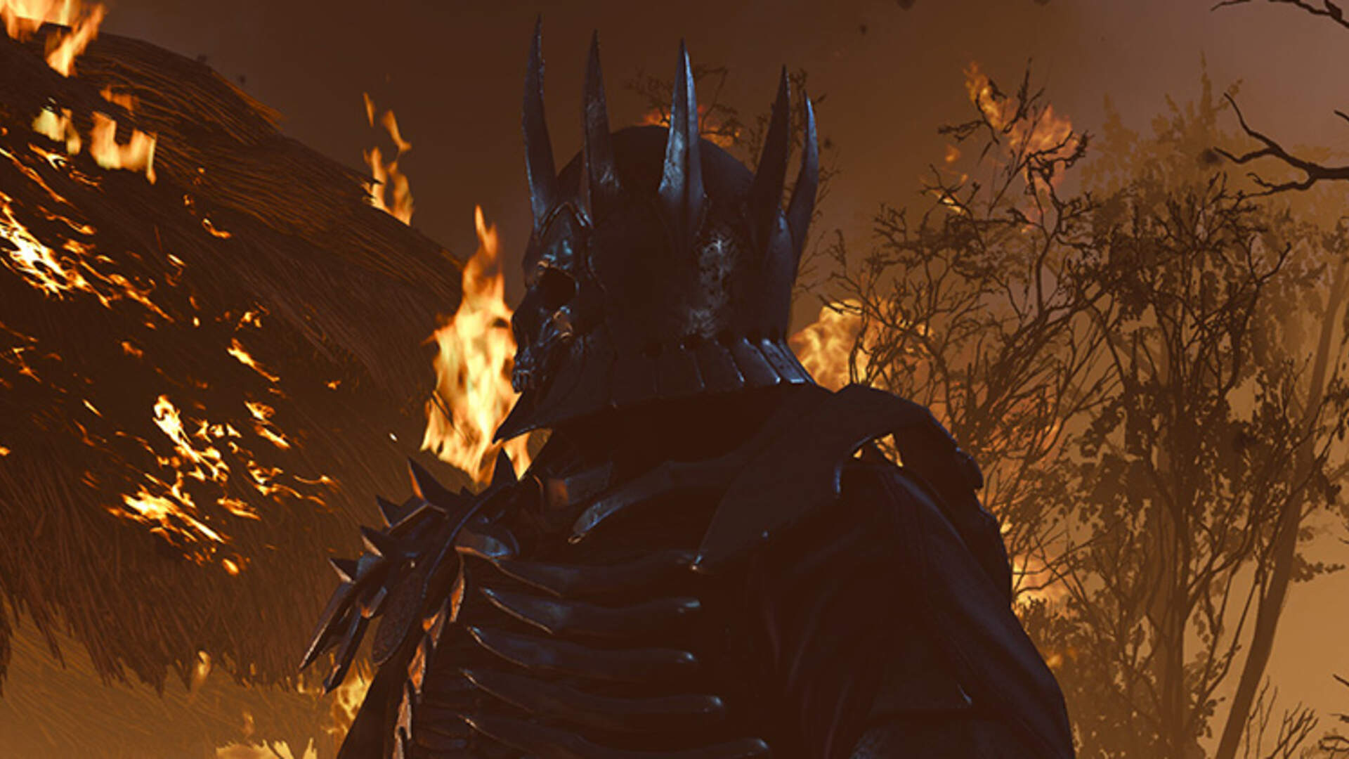 Detail Witcher 3 Magic Acorn Use Nomer 50