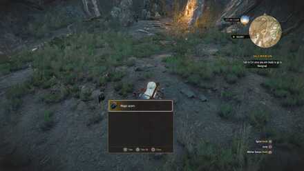 Detail Witcher 3 Magic Acron Nomer 3