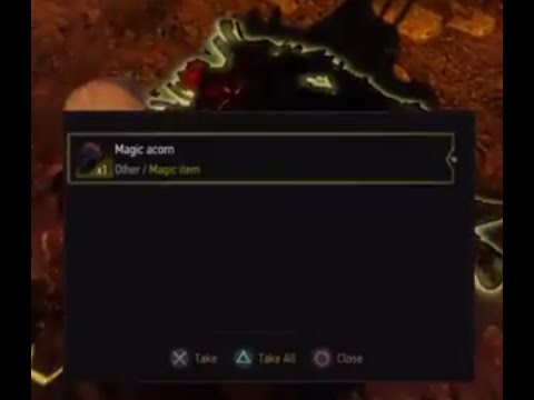 Detail Witcher 3 Magic Acron Nomer 5