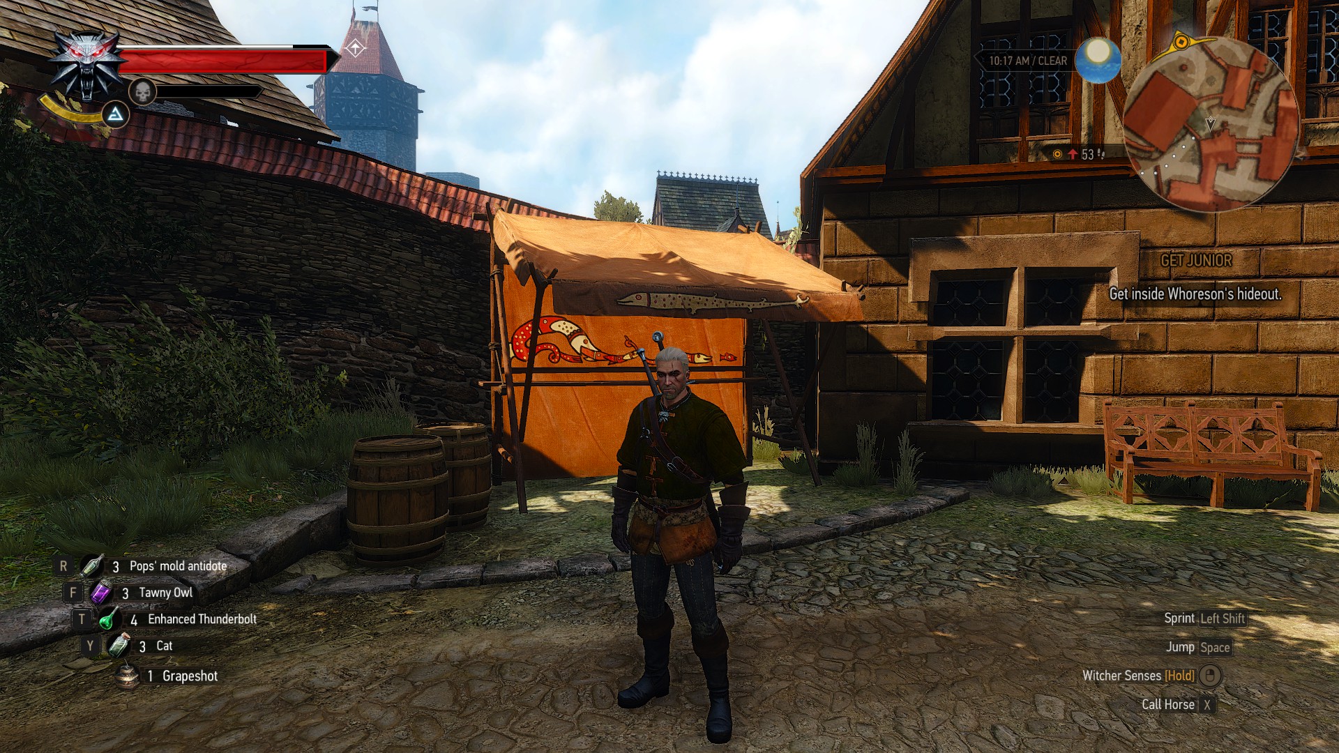 Detail Witcher 3 Magic Acron Nomer 41