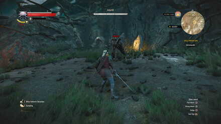 Detail Witcher 3 Magic Acron Nomer 10
