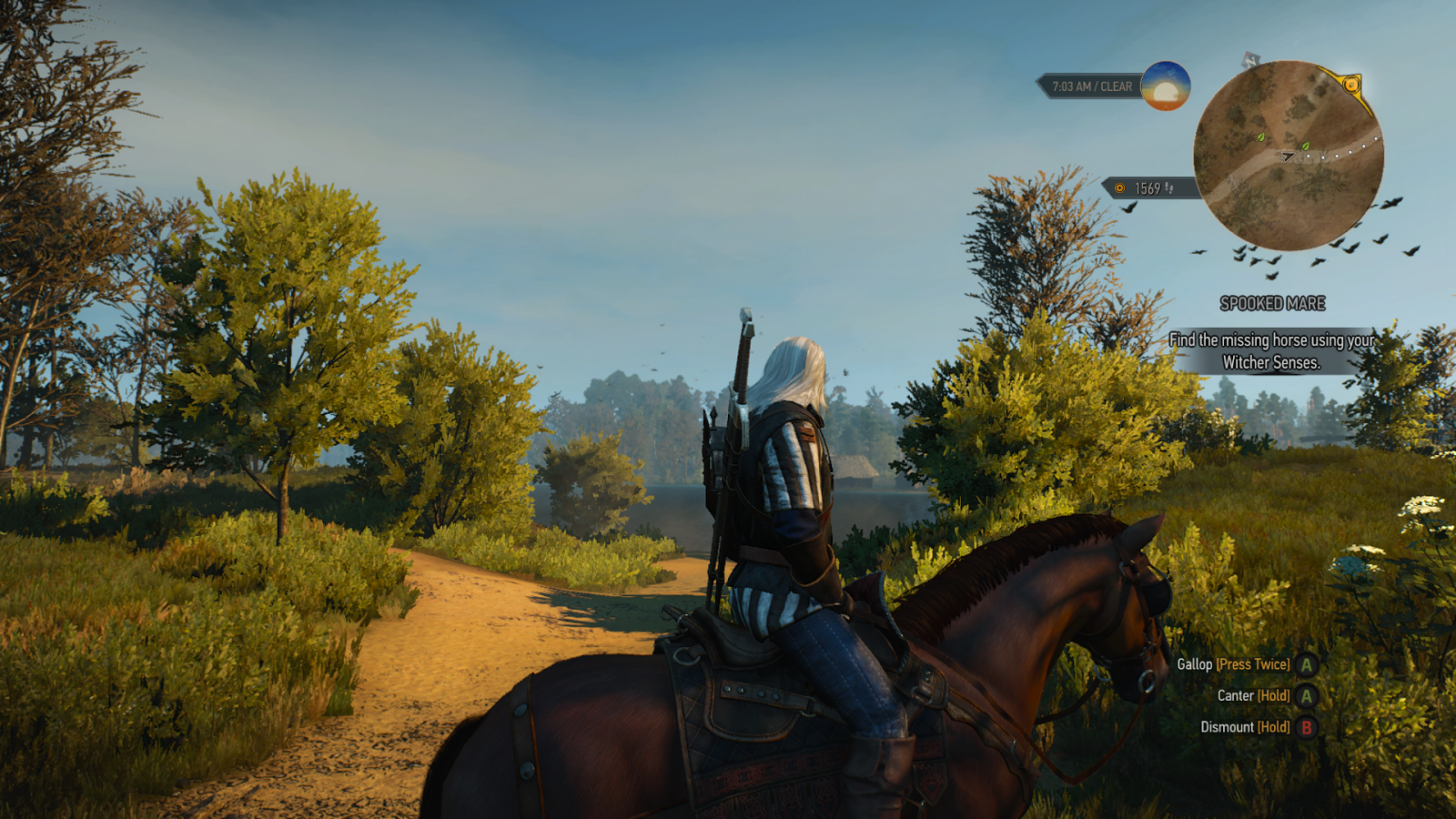 Detail Witcher 3 Moon Dust Bomb Nomer 24