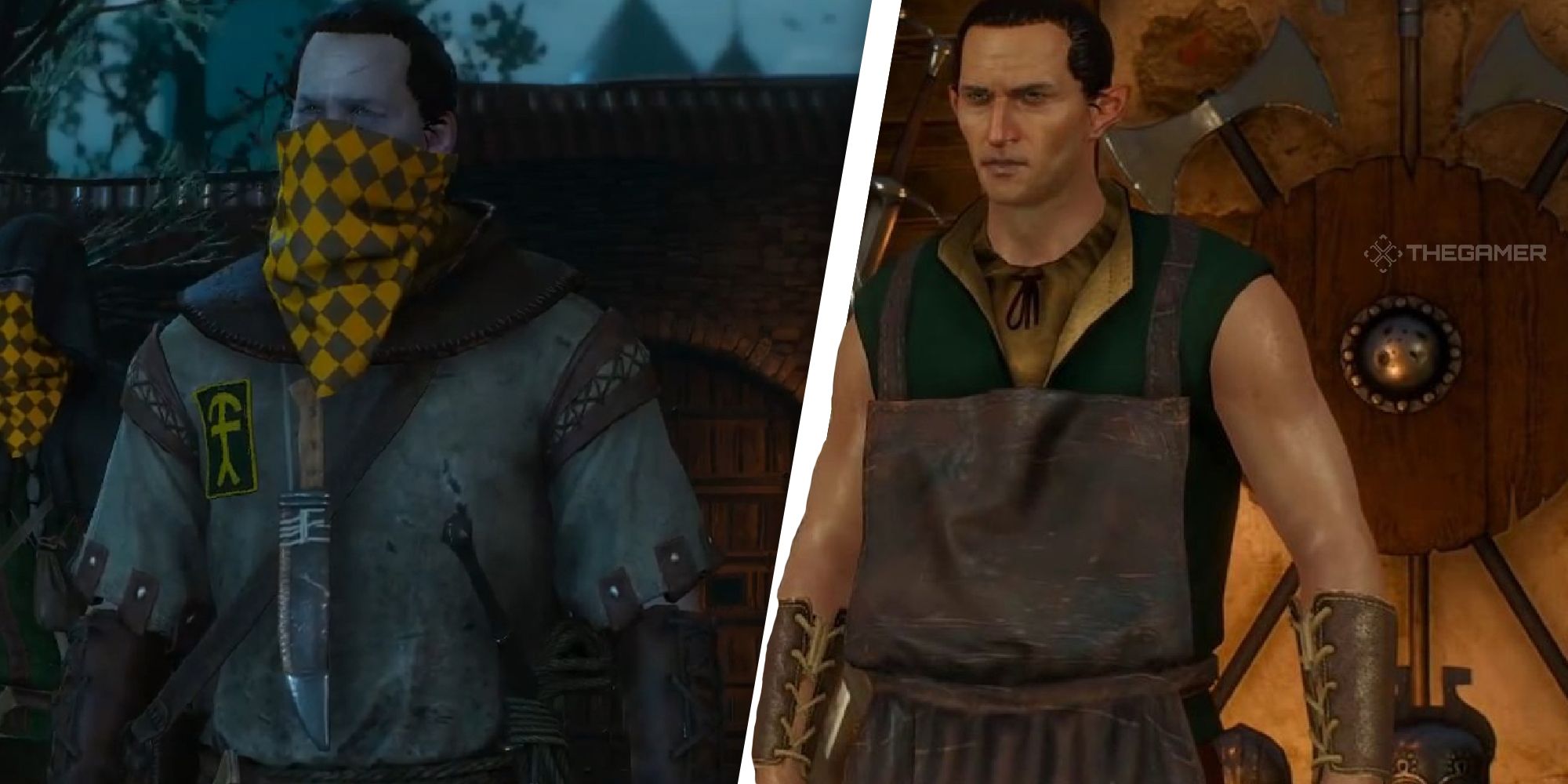 Detail Witcher 3 Of Swords And Dumplings Nomer 11