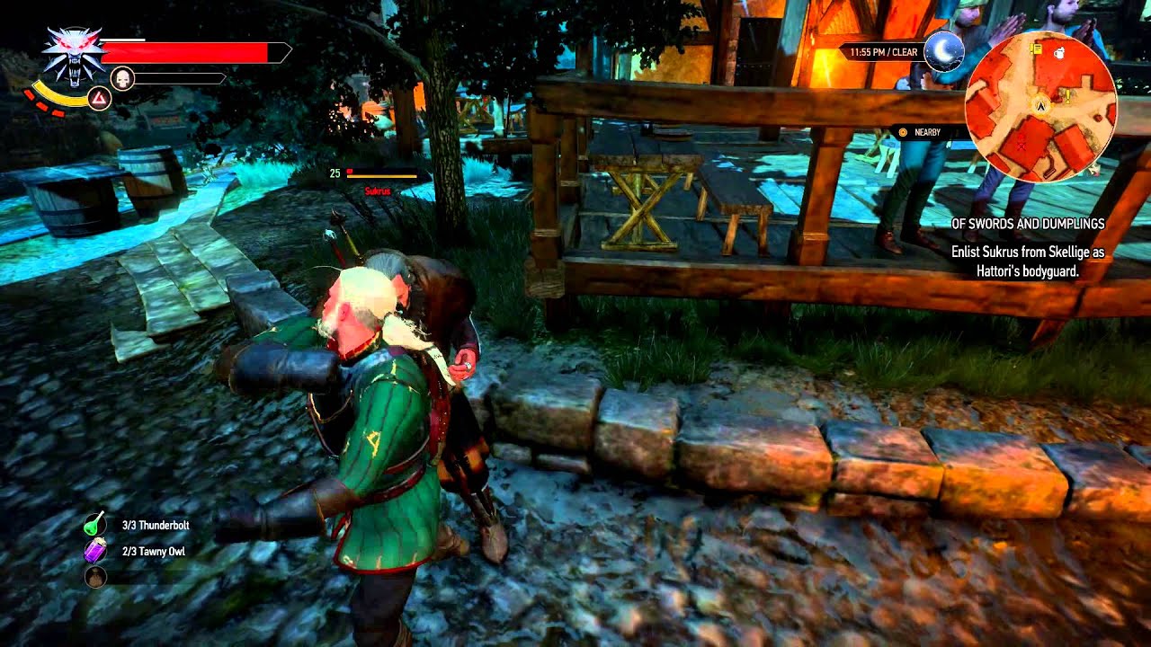 Detail Witcher 3 Of Swords And Dumplings Nomer 29