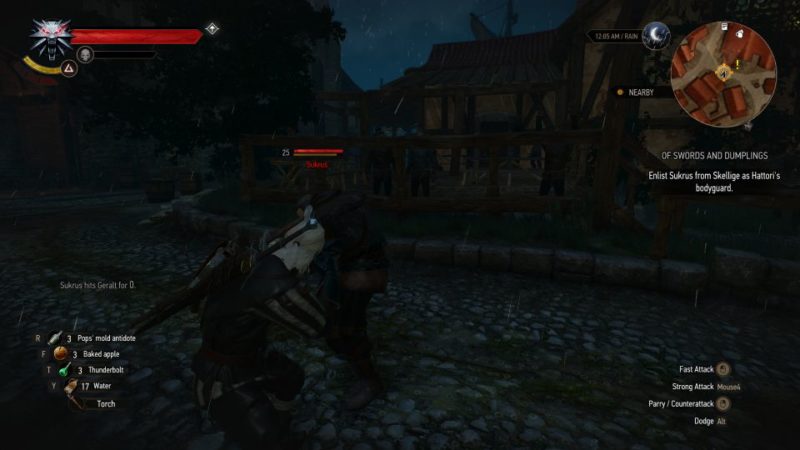 Detail Witcher 3 Of Swords And Dumplings Nomer 50