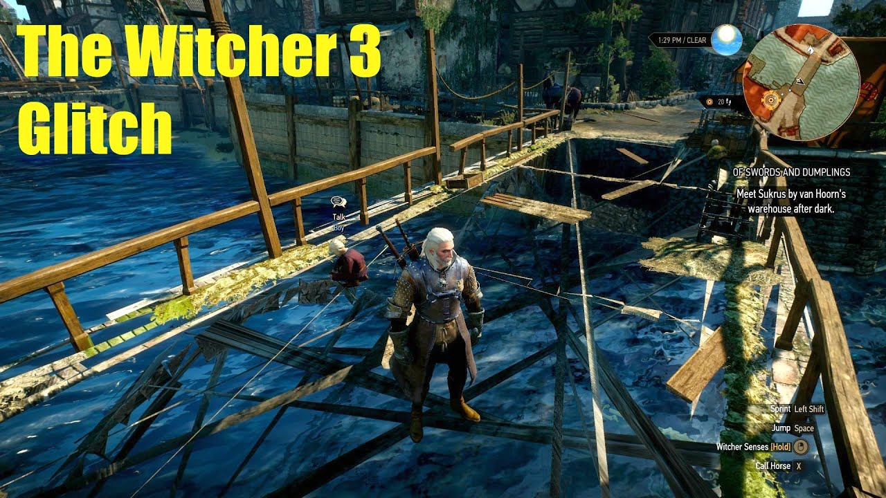 Detail Witcher 3 Of Swords And Dumplings Bug Nomer 20