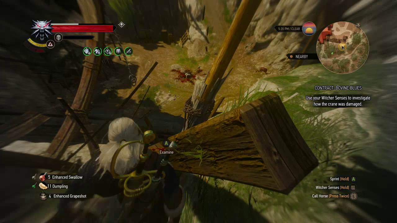 Detail Witcher 3 Of Swords And Dumplings Bug Nomer 47