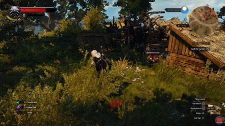 Detail Witcher 3 Out Of The Frying Pan Nomer 6