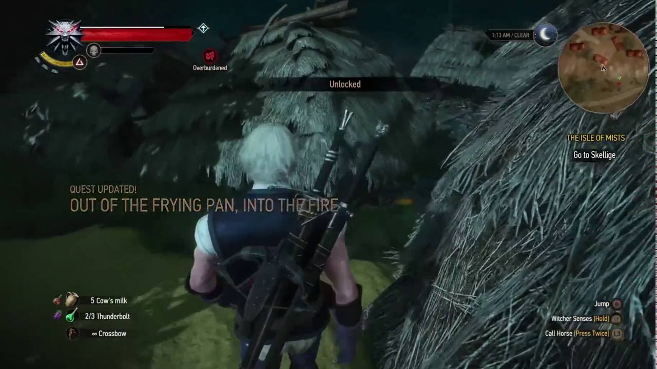 Detail Witcher 3 Out Of The Frying Pan Into The Fire Nomer 11