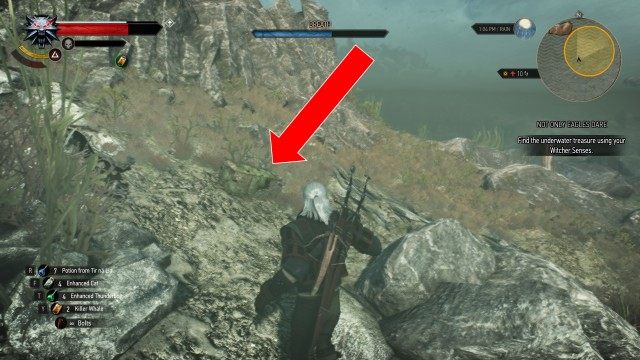 Detail Witcher 3 Out Of The Frying Pan Into The Fire Nomer 49