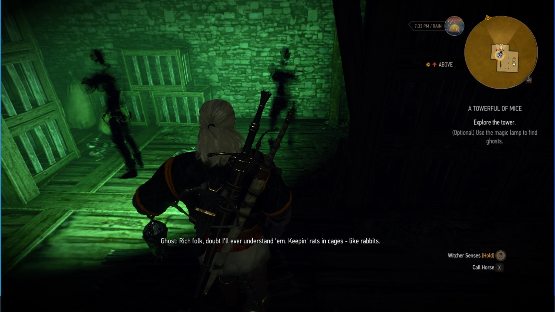 Detail Witcher 3 Rats Tower Nomer 25