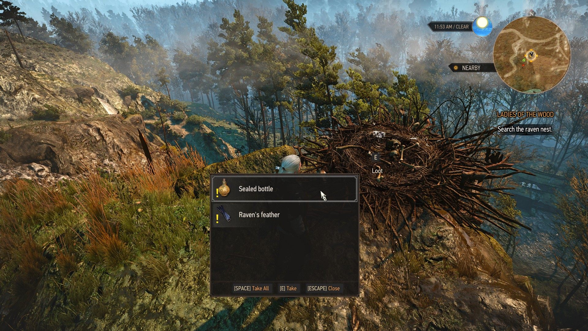 Detail Witcher 3 Raven Feather Nomer 4