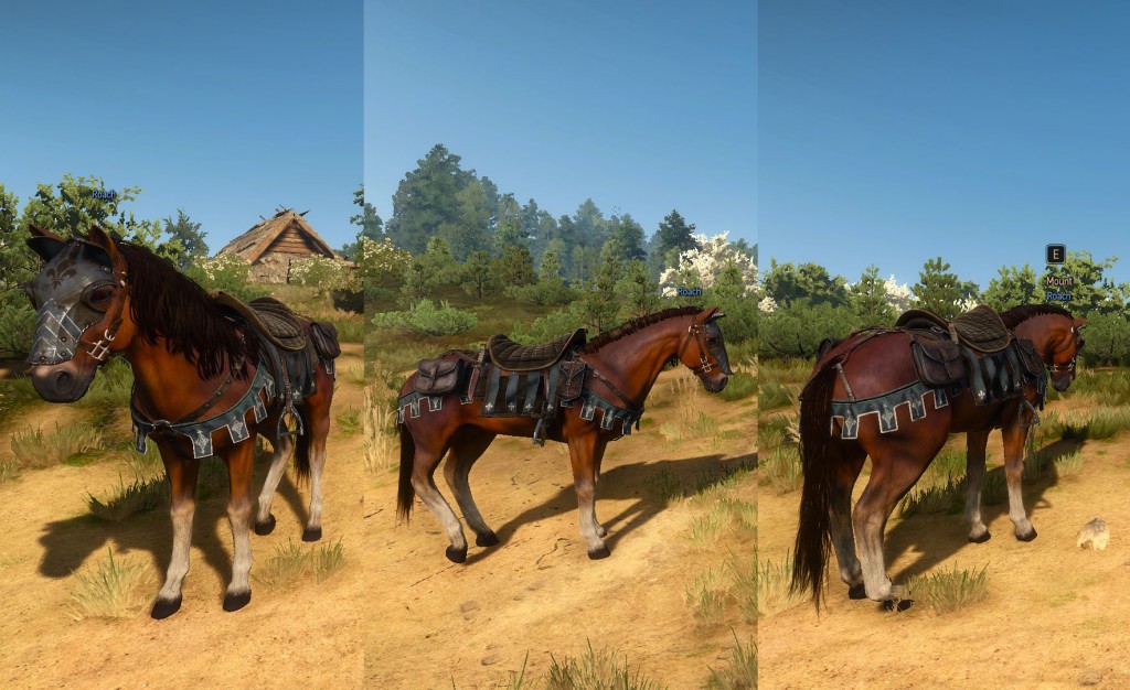 Detail Witcher 3 Roach Armor Nomer 13