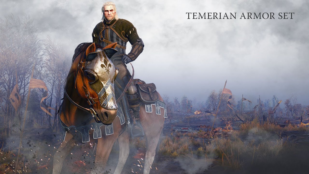 Detail Witcher 3 Roach Armor Nomer 14