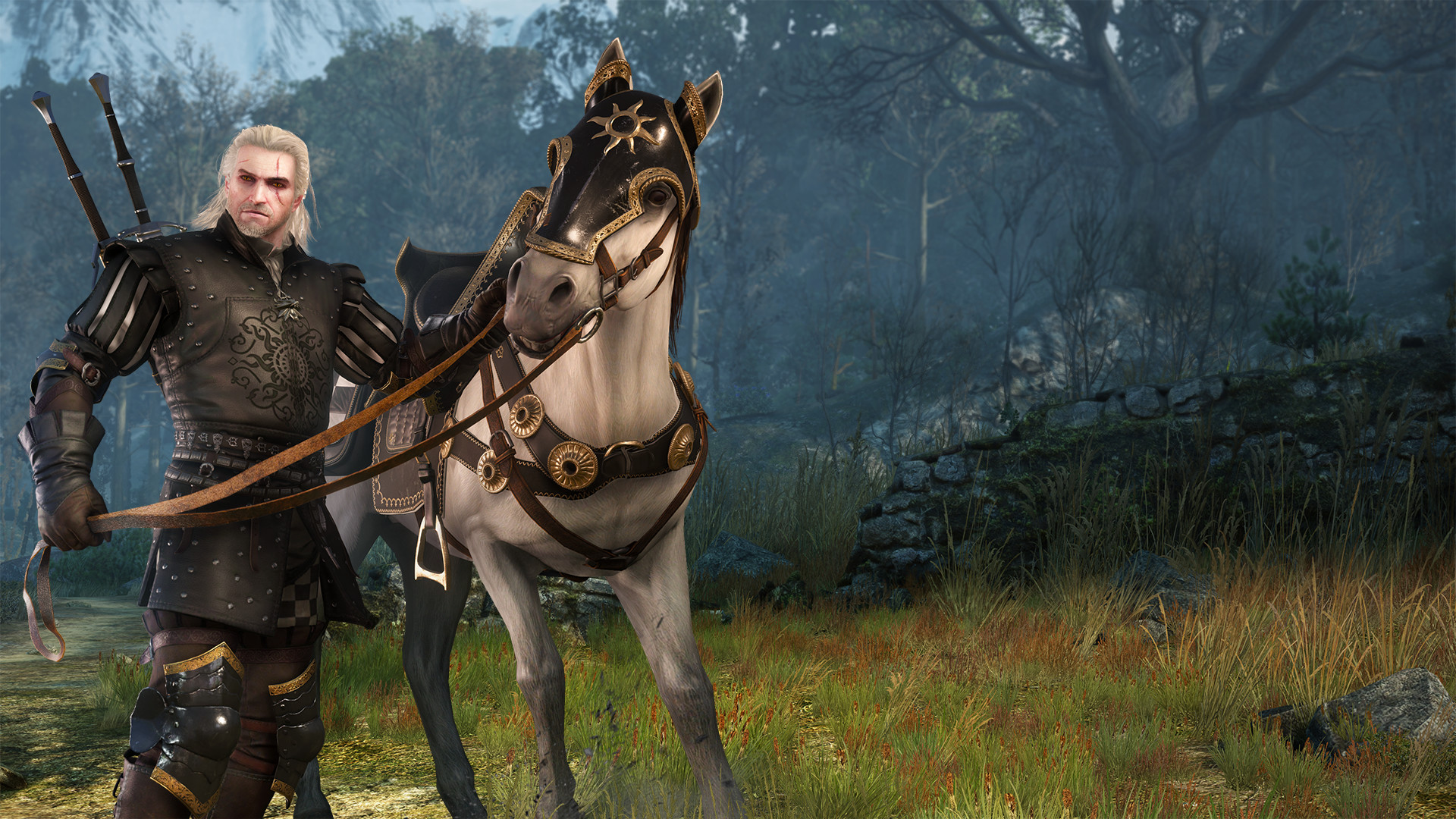 Detail Witcher 3 Roach Armor Nomer 16