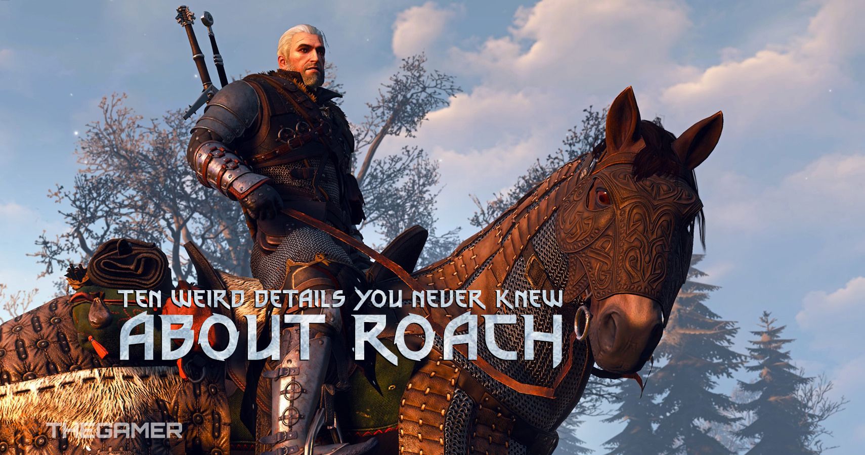 Detail Witcher 3 Roach Armor Nomer 17