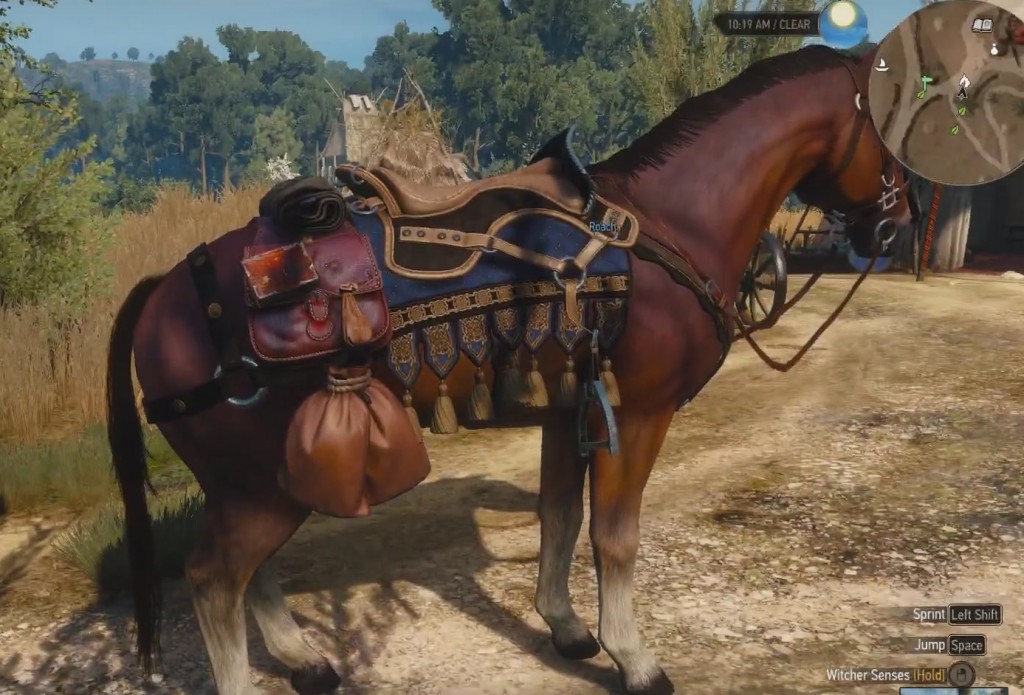 Detail Witcher 3 Roach Armor Nomer 22