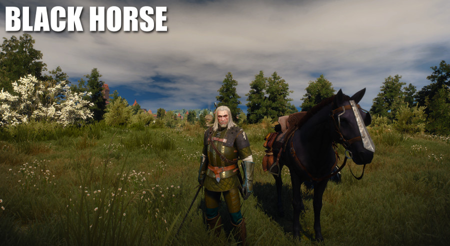 Detail Witcher 3 Roach Armor Nomer 25