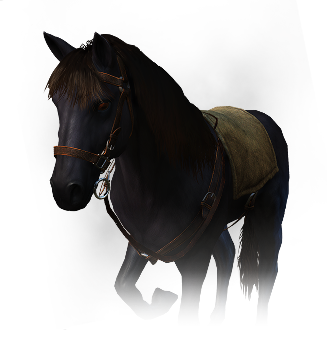 Detail Witcher 3 Roach Armor Nomer 34