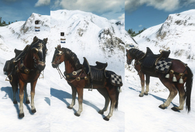 Detail Witcher 3 Roach Armor Nomer 35
