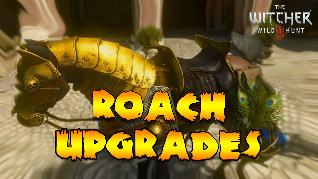Detail Witcher 3 Roach Armor Nomer 5