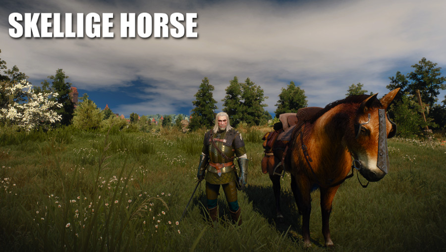 Detail Witcher 3 Roach Armor Nomer 40