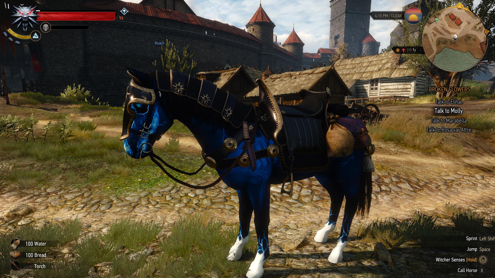 Detail Witcher 3 Roach Armor Nomer 46