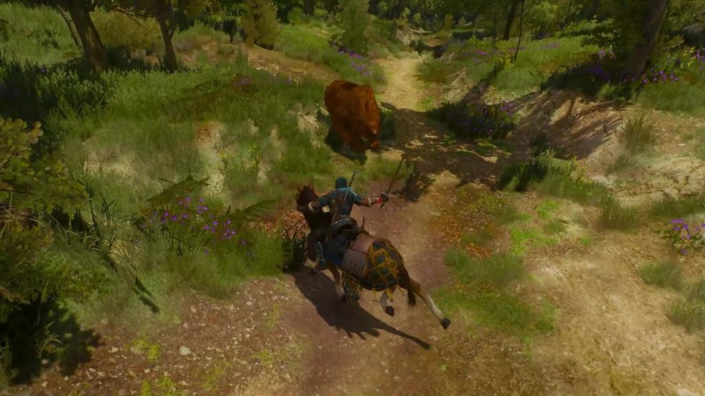 Detail Witcher 3 Roach Armor Nomer 47
