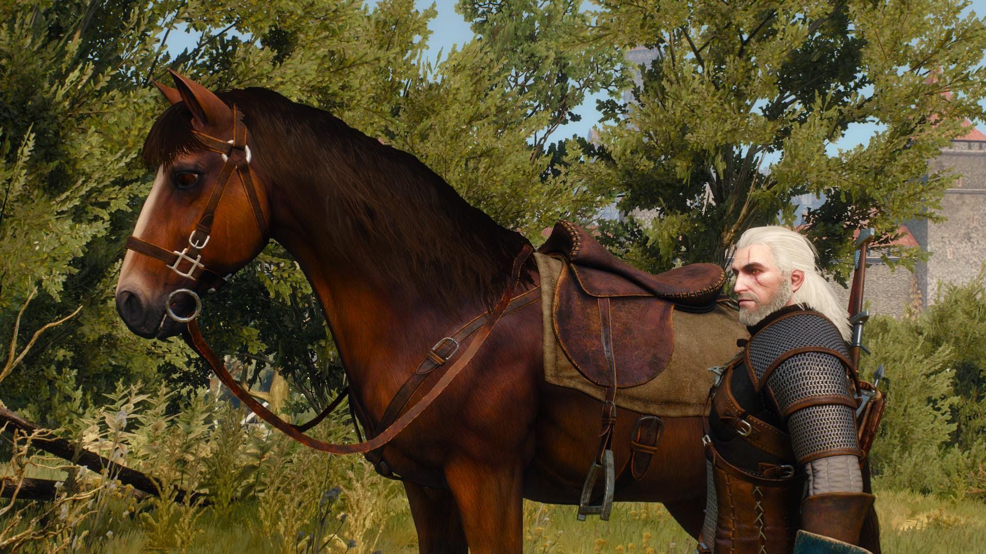 Detail Witcher 3 Roach Armor Nomer 50