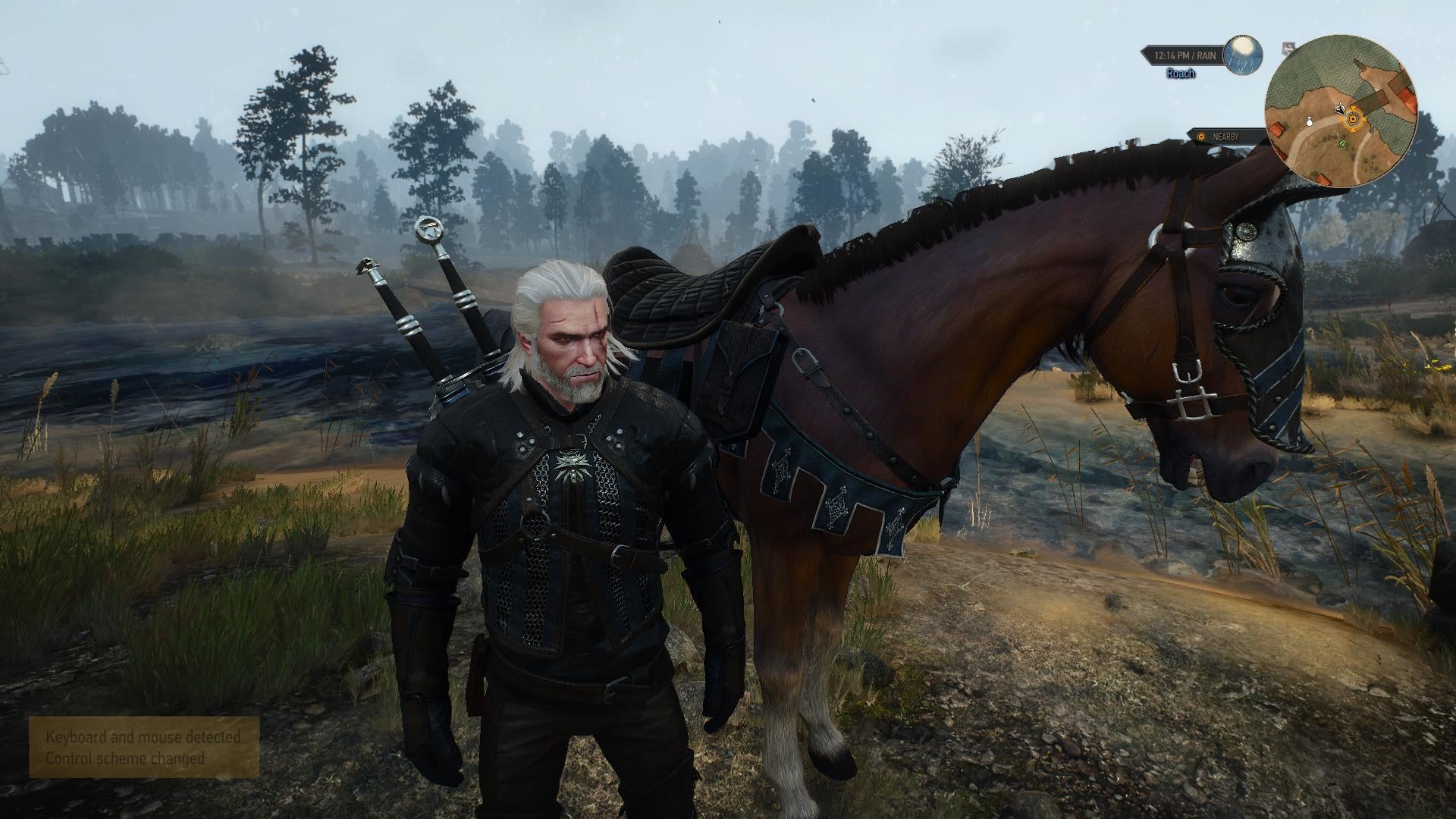 Detail Witcher 3 Roach Armor Nomer 55