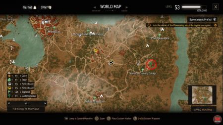 Detail Witcher 3 Spoon Nomer 47