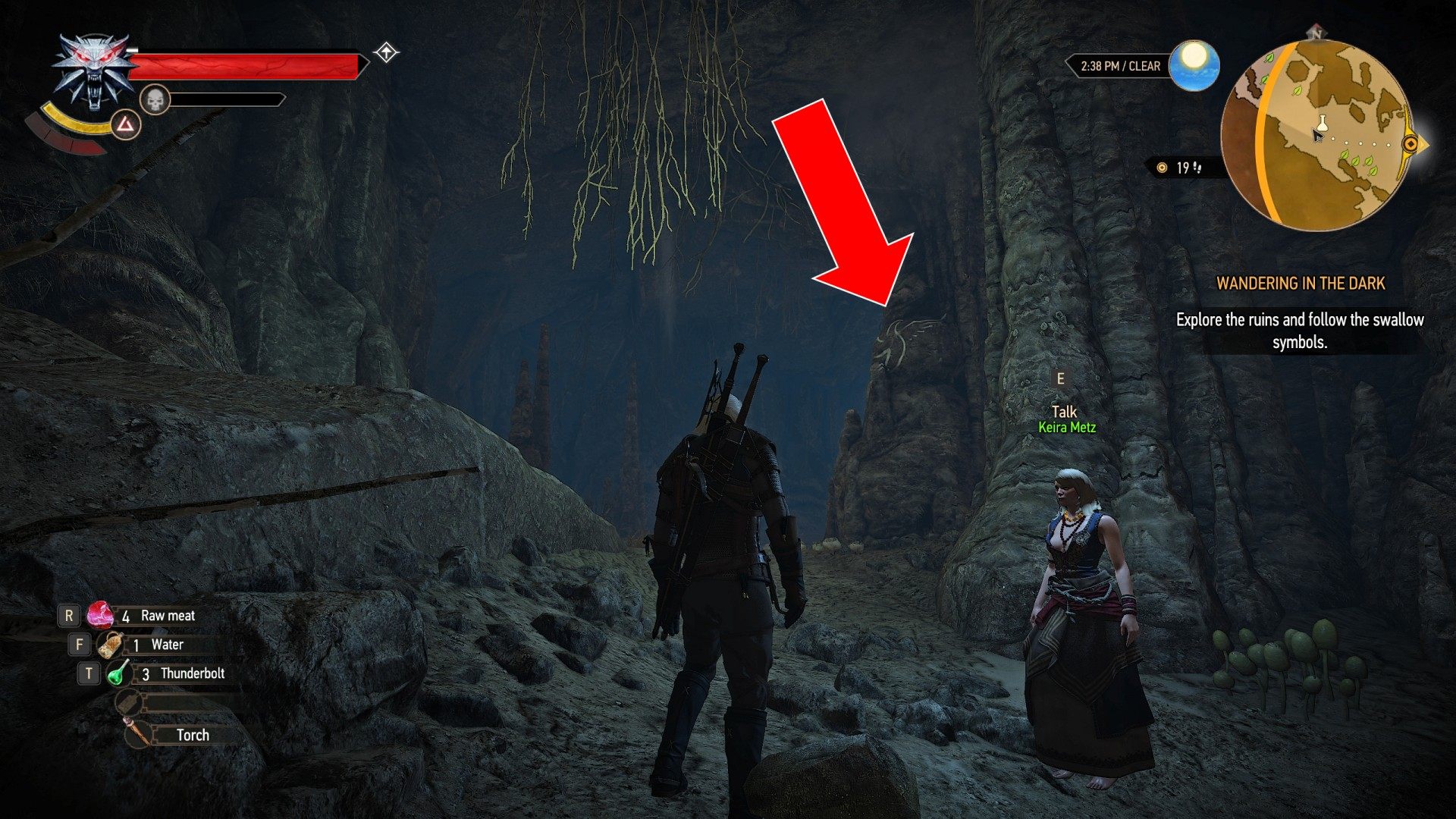 Detail Witcher 3 Swallow Symbol Nomer 2