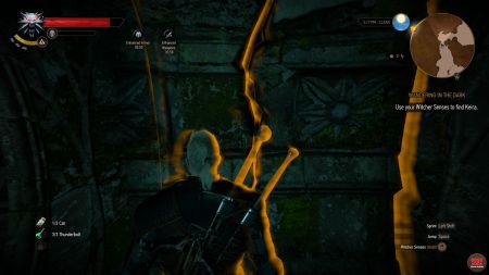 Detail Witcher 3 Swallow Symbol Nomer 12