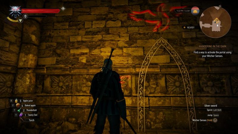 Detail Witcher 3 Swallow Symbol Nomer 15