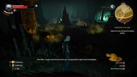 Detail Witcher 3 Swallow Symbol Nomer 51