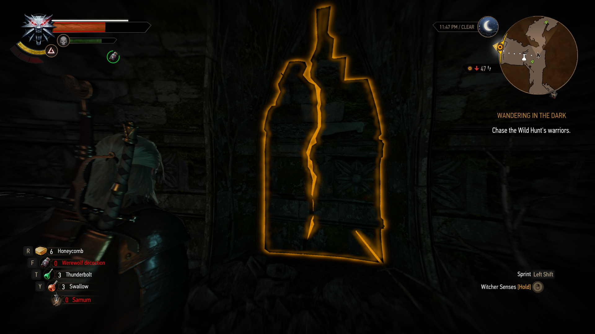 Detail Witcher 3 Swallow Symbol Nomer 52