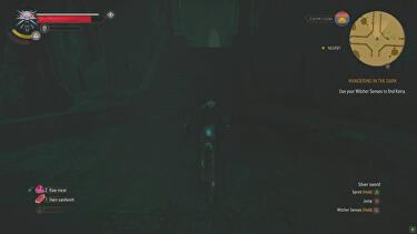Detail Witcher 3 Swallow Symbols Nomer 30