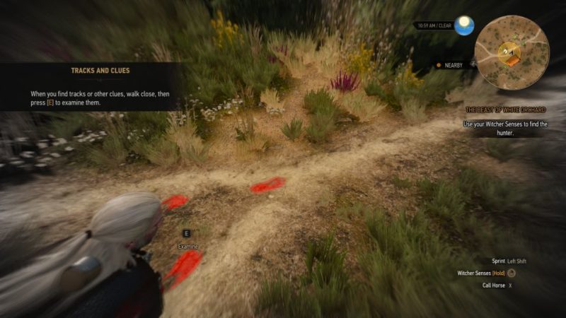 Detail Witcher 3 Where To Find Buckthorn Nomer 34