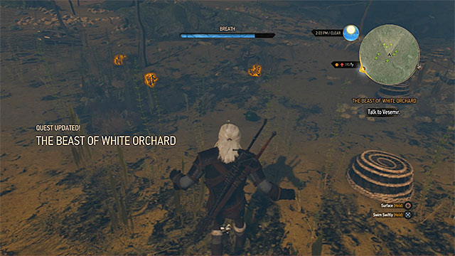 Detail Witcher 3 Where To Find Buckthorn Nomer 5