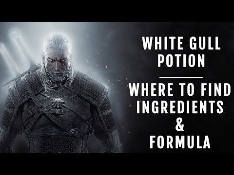 Detail Witcher 3 Where To Find White Gull Nomer 19