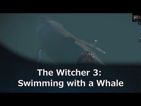 Detail Witcher 3 White Whale Nomer 24