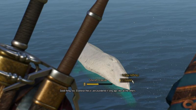 Detail Witcher 3 White Whale Nomer 6