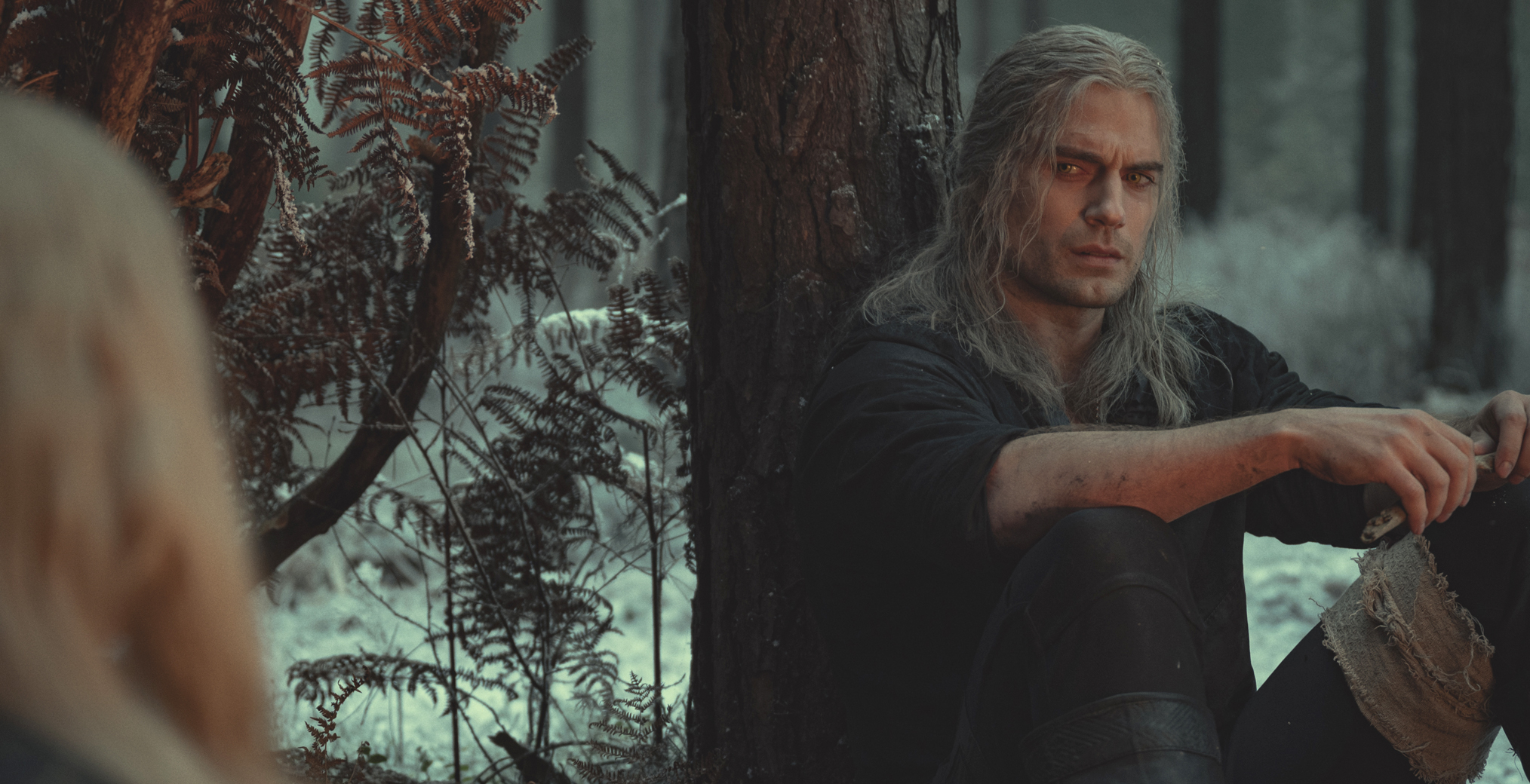 Detail Witcher Images Nomer 40