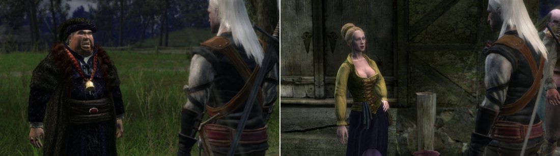 Detail Witcher Tulips Nomer 9