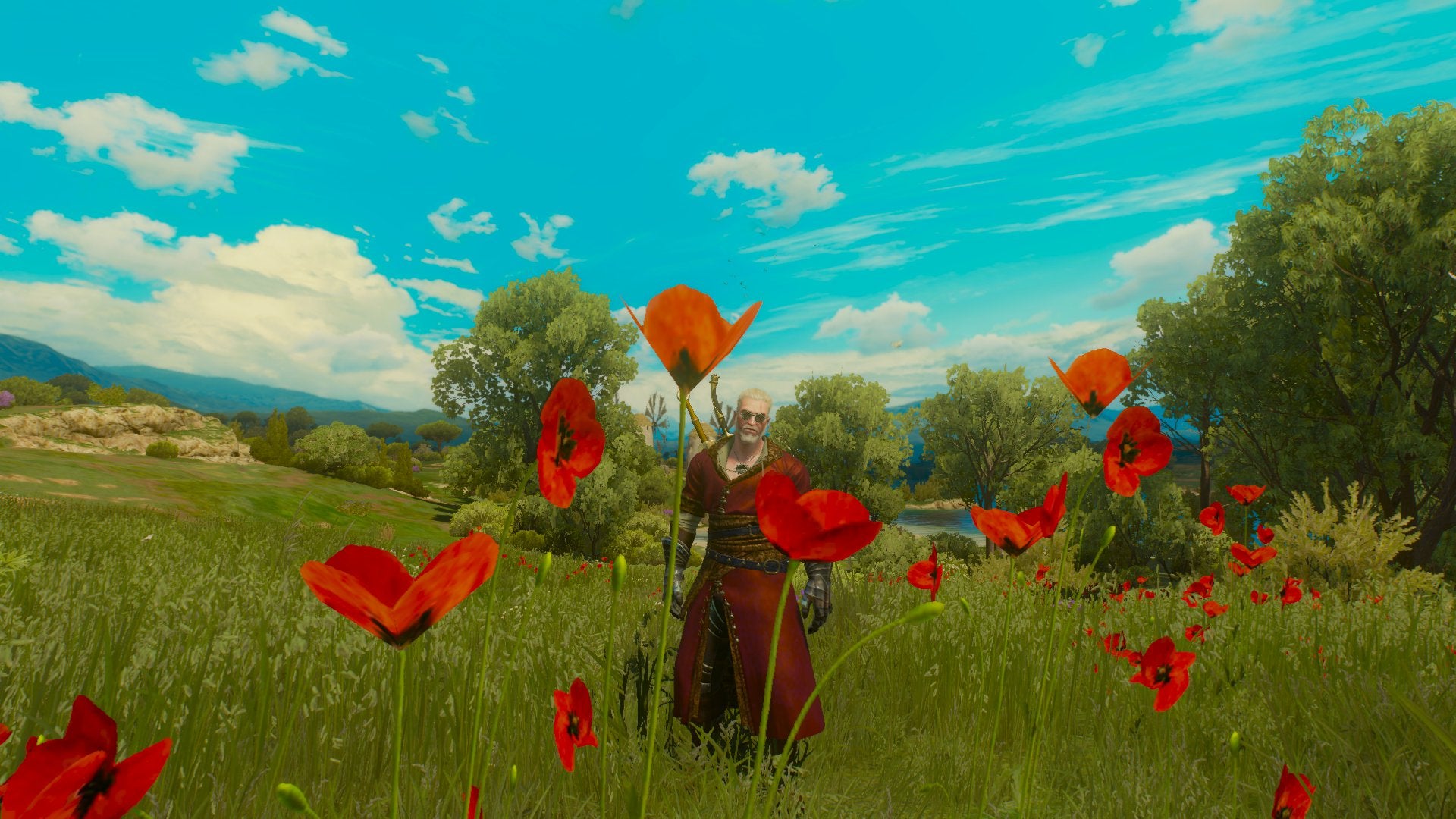 Detail Witcher Tulips Nomer 11