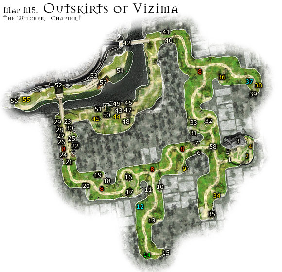 Detail Witcher Tulips Nomer 12
