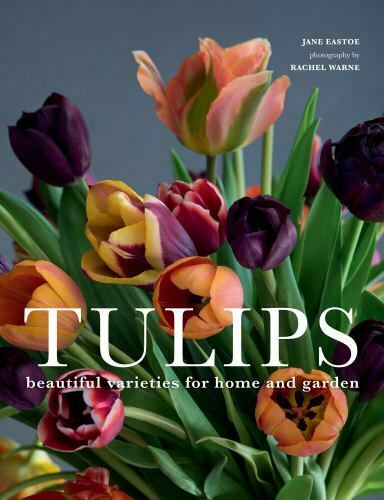 Detail Witcher Tulips Nomer 13