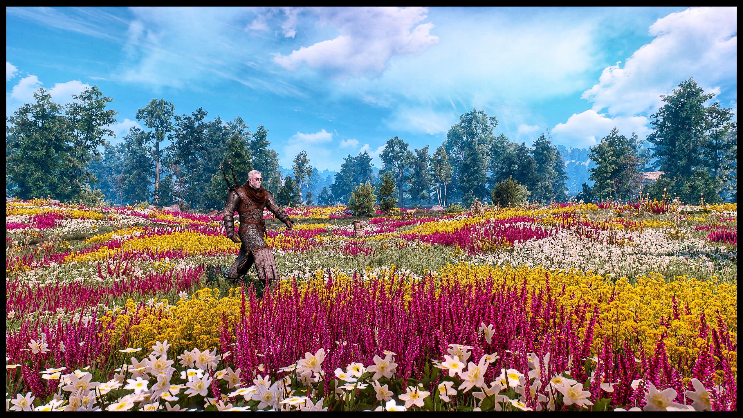 Detail Witcher Tulips Nomer 2
