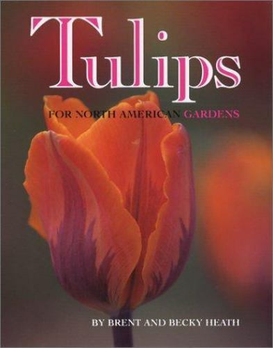 Detail Witcher Tulips Nomer 29